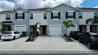 33066 Major Oak Dr in Wesley Chapel, FL - Building Photo