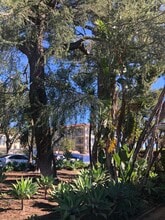 792 Alameda St, Unit 792 in Altadena, CA - Building Photo - Building Photo