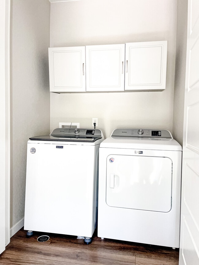 3521 Mykonos Dr in Castle Rock, CO - Building Photo - Building Photo