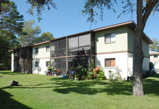 College Pines in Cocoa, FL - Building Photo - Building Photo