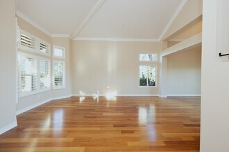 1808 Avenida Mimosa in Encinitas, CA - Building Photo - Building Photo