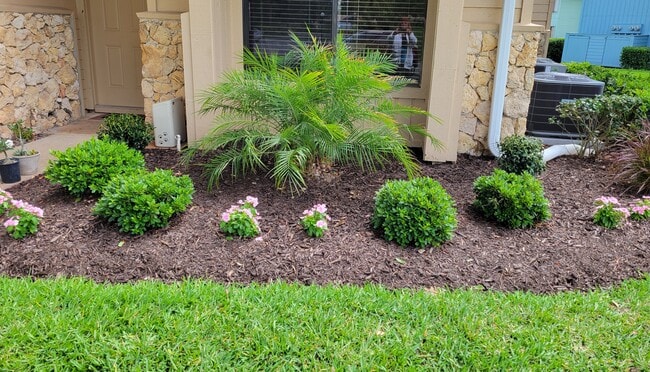 property at 113 Golden Eye Dr