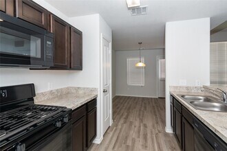 17011 Lacey Bell Ln in Richmond, TX - Building Photo - Building Photo