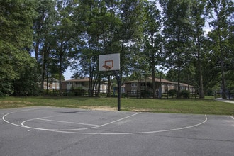 Cedar Greene Apartments in Charlotte, NC - Foto de edificio - Building Photo