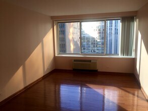 211 E Ohio St, Unit 1621 in Chicago, IL - Building Photo - Building Photo