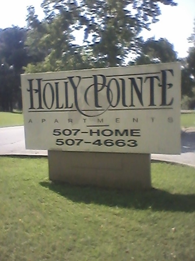 Holly Pointe Apartments in McMinnville, TN - Building Photo