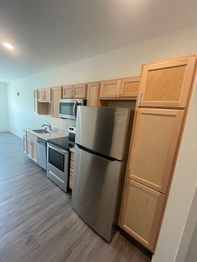 101 N Main St in Le Sueur, MN - Building Photo - Building Photo