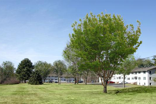 Pinney Hill in Ellington, CT - Foto de edificio - Building Photo