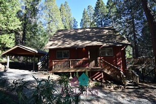 14695 Moon Shadow Dr in Nevada City, CA - Building Photo
