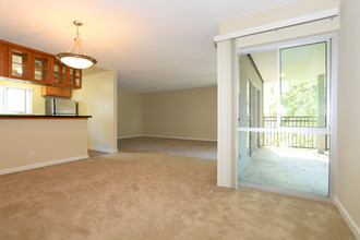 One Three Four Elm Apartments in San Mateo, CA - Building Photo - Interior Photo