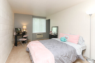 The Quads Apartments in Carbondale, IL - Building Photo - Interior Photo