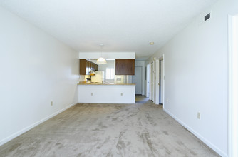 Ashley Park Apartments in Jacksonville, NC - Building Photo - Interior Photo