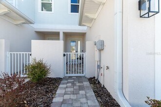 31885 Anchor Pt Dr in Wesley Chapel, FL - Building Photo - Building Photo