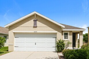 10540 Whispering Hammock Dr in Riverview, FL - Building Photo