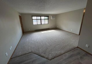 345 E State St, Unit 5 in Iola, WI - Building Photo - Building Photo