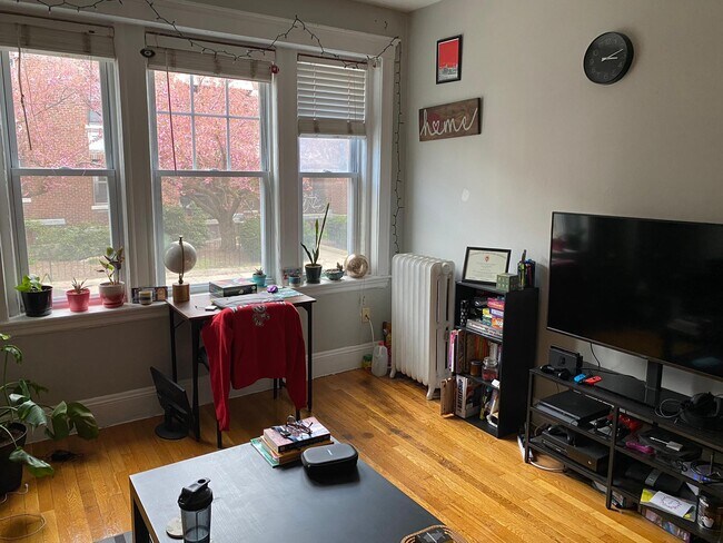 318 Summit Ave, Unit 1 in Boston, MA - Building Photo - Building Photo