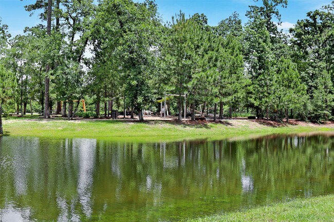 6 Gentle Branch Pl in Tomball, TX - Building Photo - Building Photo