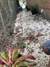 10010 Cathedral Dr photo'