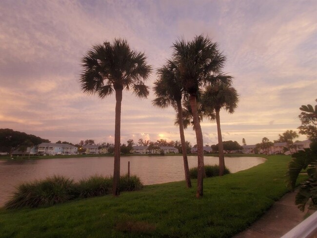 178 Pompano Dr SE in St. Petersburg, FL - Foto de edificio - Building Photo