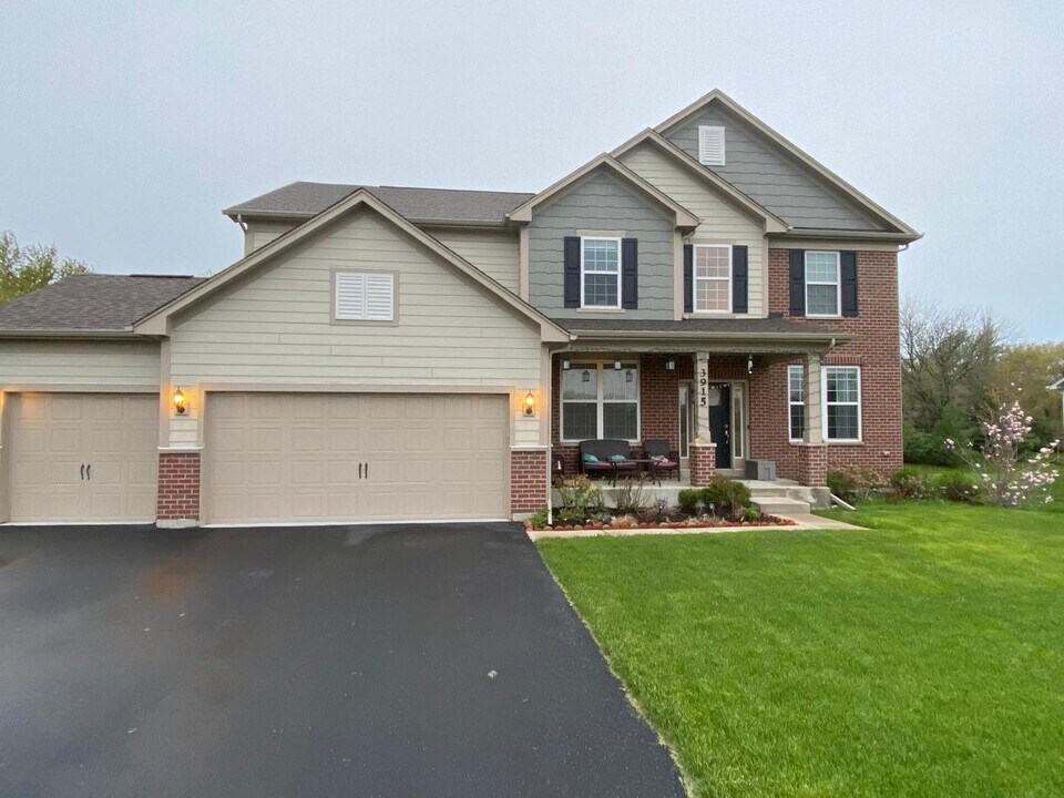 3915 Nannyberry Ct in Naperville, IL - Building Photo