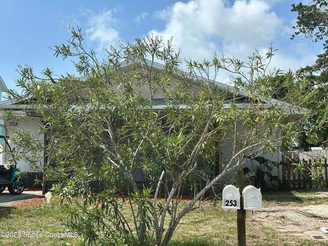 property at 251 Tyler Ave