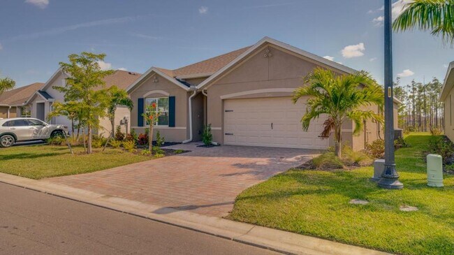 20456 Camino Torcido Lp in North Fort Myers, FL - Building Photo - Building Photo