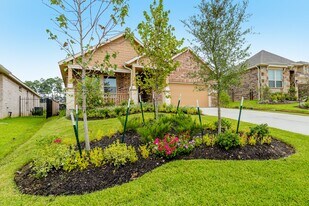 16 Florentino Vine Pl in Magnolia, TX - Building Photo