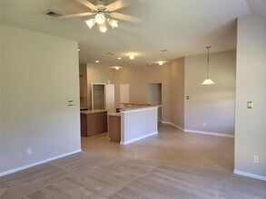 1010 Hannah Falls Ln in Fresno, TX - Building Photo - Building Photo