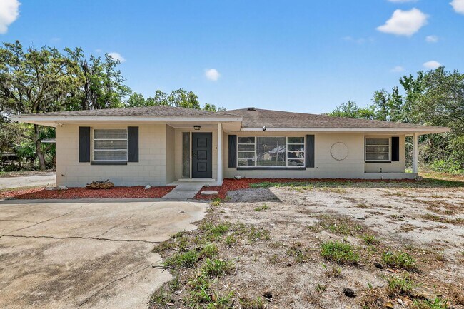 11426 Palmetto Dr in Tavares, FL - Building Photo - Building Photo