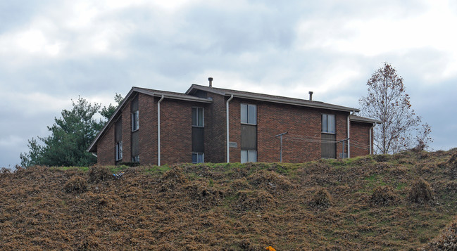 Livingston and Erskine - Walton in Asheville, NC - Building Photo - Building Photo