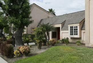 11051 Barnwall St in Norwalk, CA - Building Photo - Building Photo