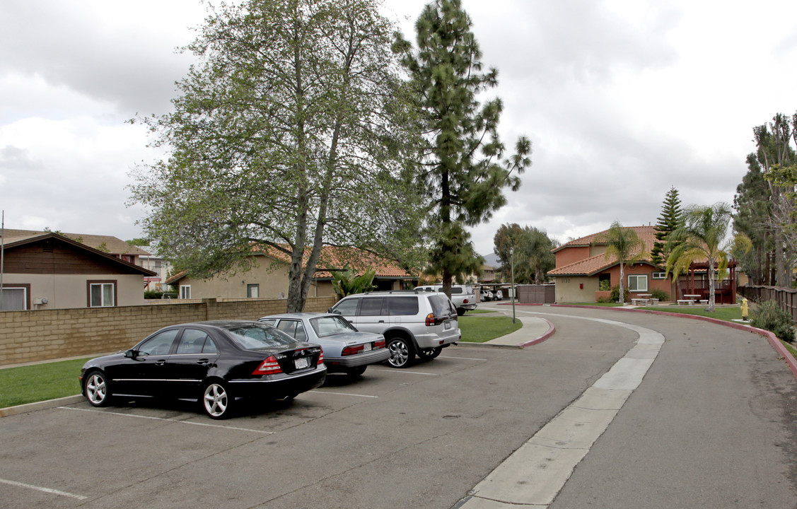 Palmas Del Sol in Escondido, CA - Building Photo