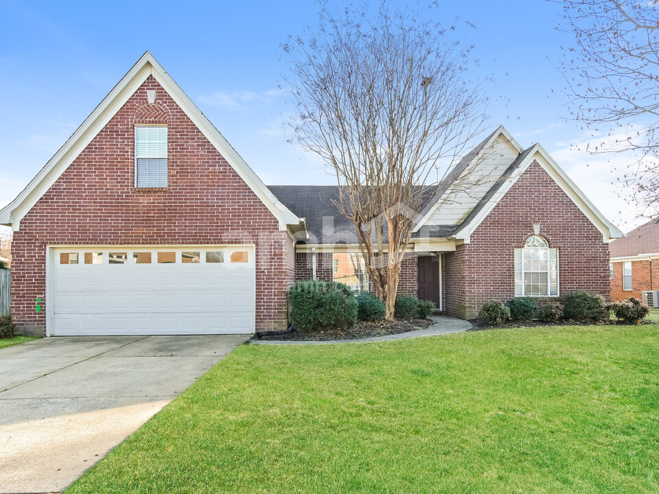 10063 Tally Ho Dr in Olive Branch, MS - Building Photo