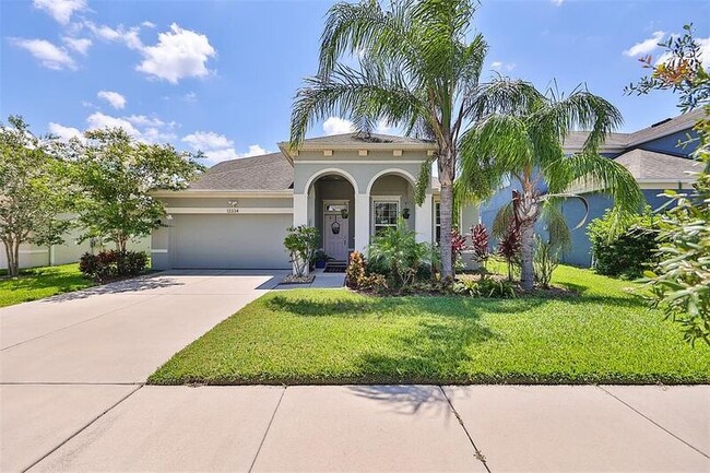13334 Palmera Vista Dr in Riverview, FL - Building Photo - Building Photo
