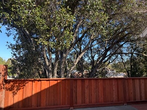 1746 E St in Hayward, CA - Building Photo - Building Photo