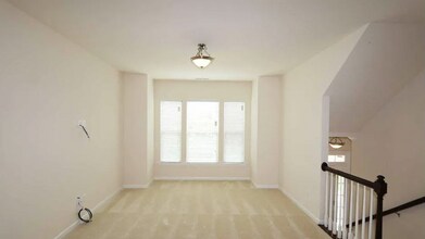 313 Annandale Dr in Fort Mill, SC - Building Photo - Building Photo