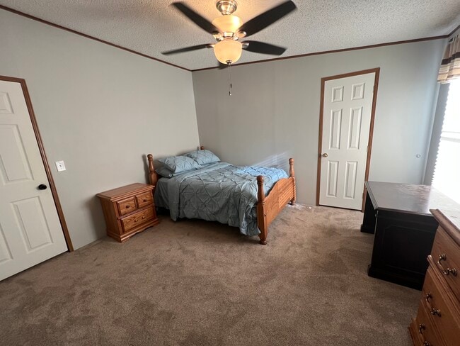 property at 31 Rainey Rd