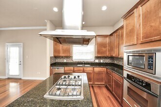 917 McKinney Park Ln in Houston, TX - Building Photo - Building Photo
