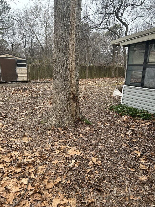 1305 Holly St in Jonesboro, AR - Building Photo - Building Photo