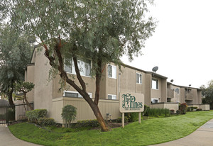 The Pines Apartments