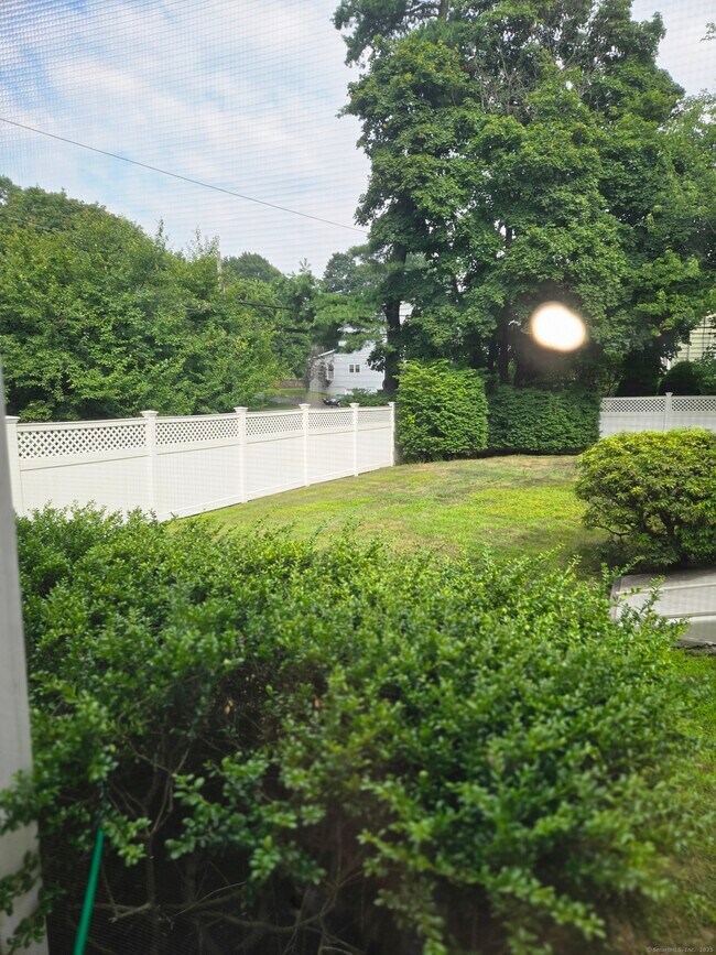 77 Forest St in New Canaan, CT - Building Photo - Building Photo