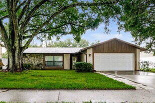813 Regal Palm Ct in Brandon, FL - Building Photo