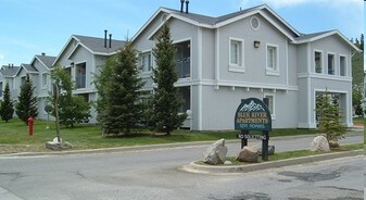 Blue River in Silverthorne, CO - Building Photo