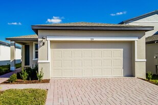 824 Rivers Crossing St in Clermont, FL - Building Photo