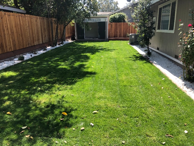 property at 906 Sycamore Ln