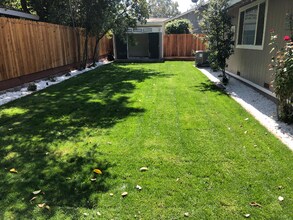 906 Sycamore Ln in Davis, CA - Building Photo - Building Photo