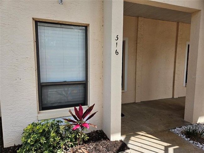 property at 316 Kelsey Way