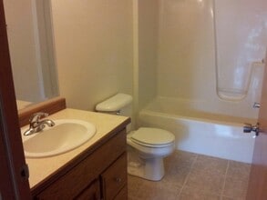 423 W 2nd Pl in Spring Valley, IL - Foto de edificio - Building Photo