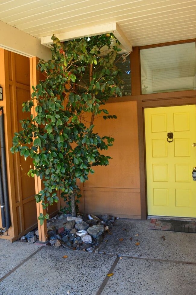 417 Hickory Ln in San Rafael, CA - Building Photo - Building Photo