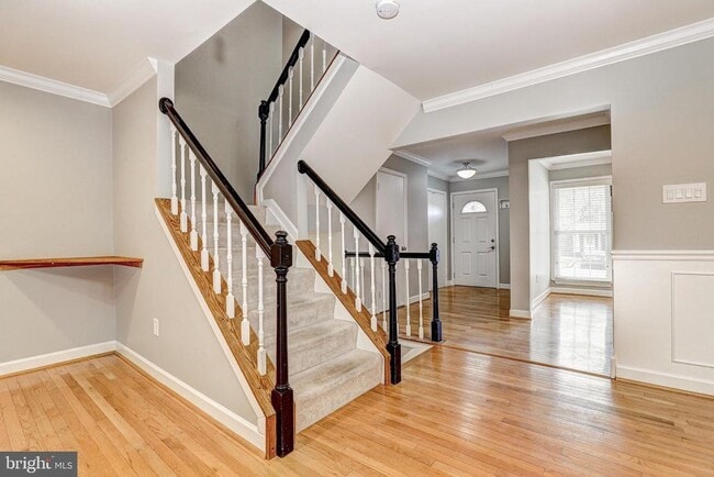 41 Battersea Bridge Ct in Timonium, MD - Building Photo - Building Photo